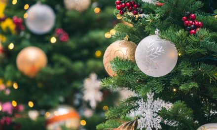 Kerstbomen verkoop voor het goede doel overtreft alle verwachtingen