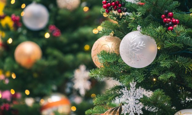 Kerstbomen verkoop voor het goede doel overtreft alle verwachtingen