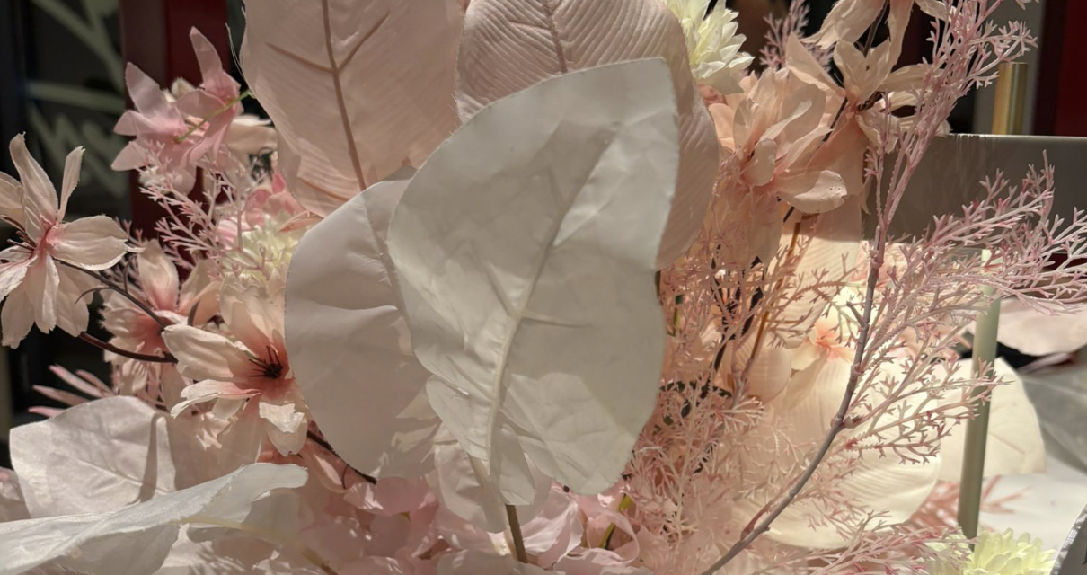 Soroptimist De Bilt-Bilthoven vraagt op Internationale Vrouwendag aandacht voor positie van vrouwen 