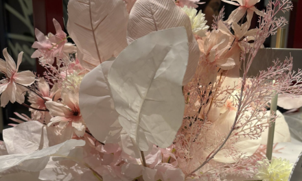 Soroptimist De Bilt-Bilthoven vraagt op Internationale Vrouwendag aandacht voor positie van vrouwen 