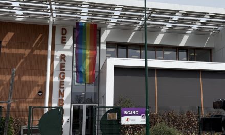 Basisschool De Regenboog viert 20-jarig bestaan met feestweek