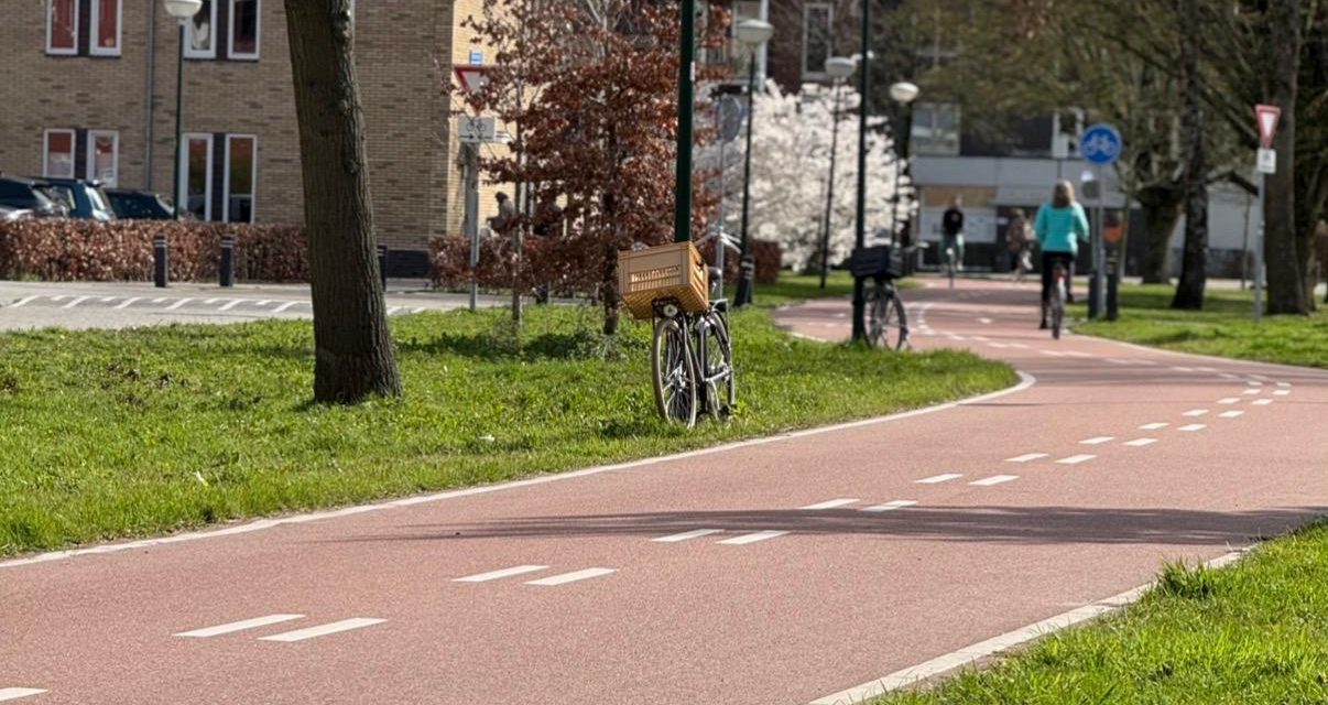 Percentage uitwendige doodsoorzaken in De Bilt bovengemiddeld