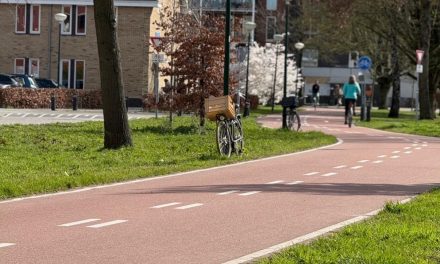 Percentage uitwendige doodsoorzaken in De Bilt bovengemiddeld