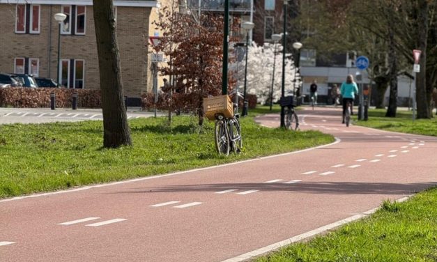 Percentage uitwendige doodsoorzaken in De Bilt bovengemiddeld