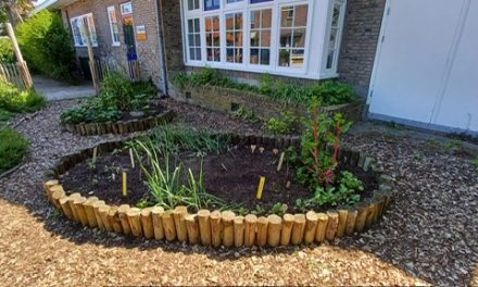 Week van de Schooltuin brengt aandacht voor gezond eten in De Bilt