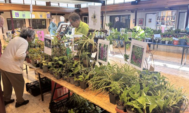 Steeds meer groen in de huizen van De Bilt