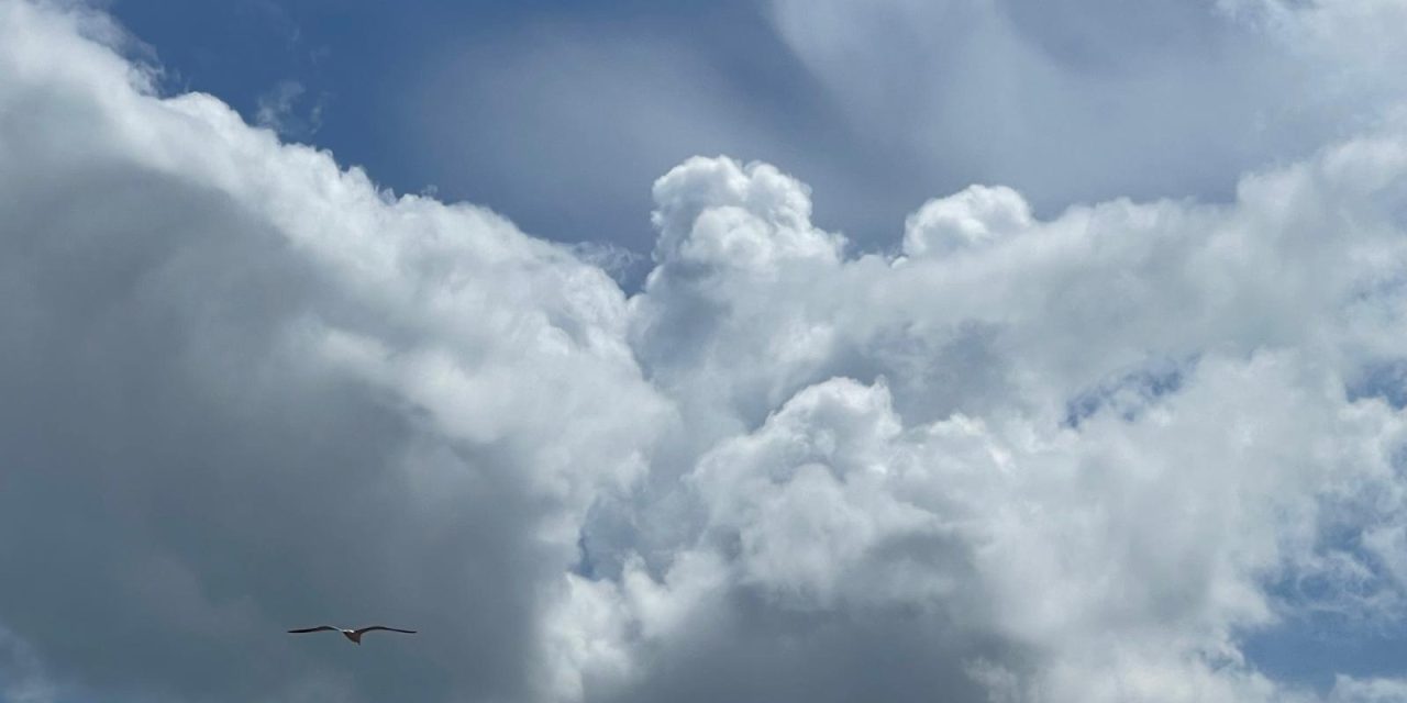 De temperaturen worden warmer en de seizoenen verschuiven