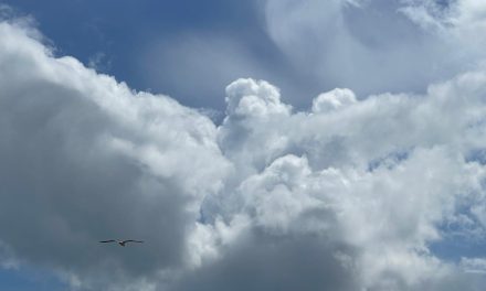 De temperaturen worden warmer en de seizoenen verschuiven