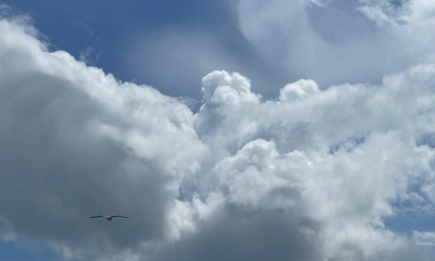 De temperaturen worden warmer en de seizoenen verschuiven