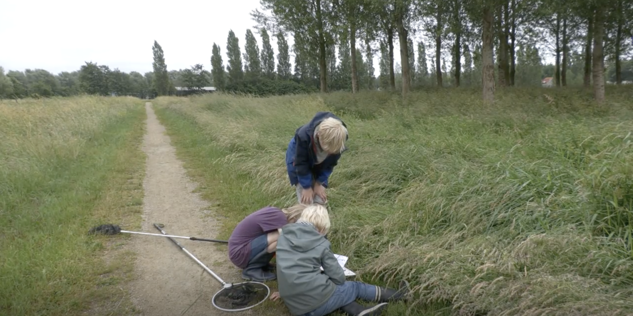 Kinderen duiken met schepnetten de sloot in tijdens slootjescheppen in Groenekan