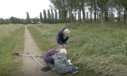 Kinderen duiken met schepnetten de sloot in tijdens slootjescheppen in Groenekan