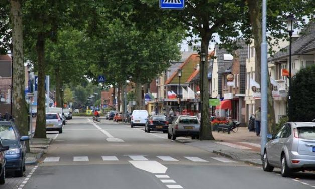 Vermogensmisdrijven in De Bilt flink gedaald sinds 2012, terwijl online criminaliteit toeneemt
