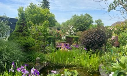 Open Tuinen Dag trekt bezoekers naar kleurrijke tuin in Westbroek