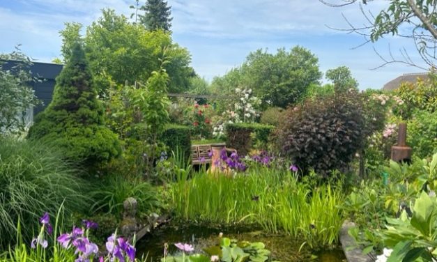 Open Tuinen Dag trekt bezoekers naar kleurrijke tuin in Westbroek