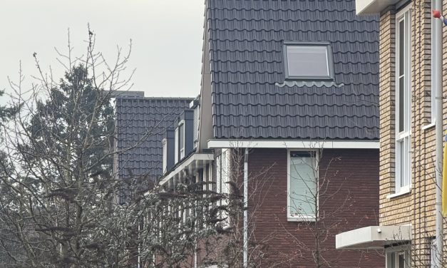 Woninggroei botst met groen in De Bilt: ‘Het blijft een politieke keuze’