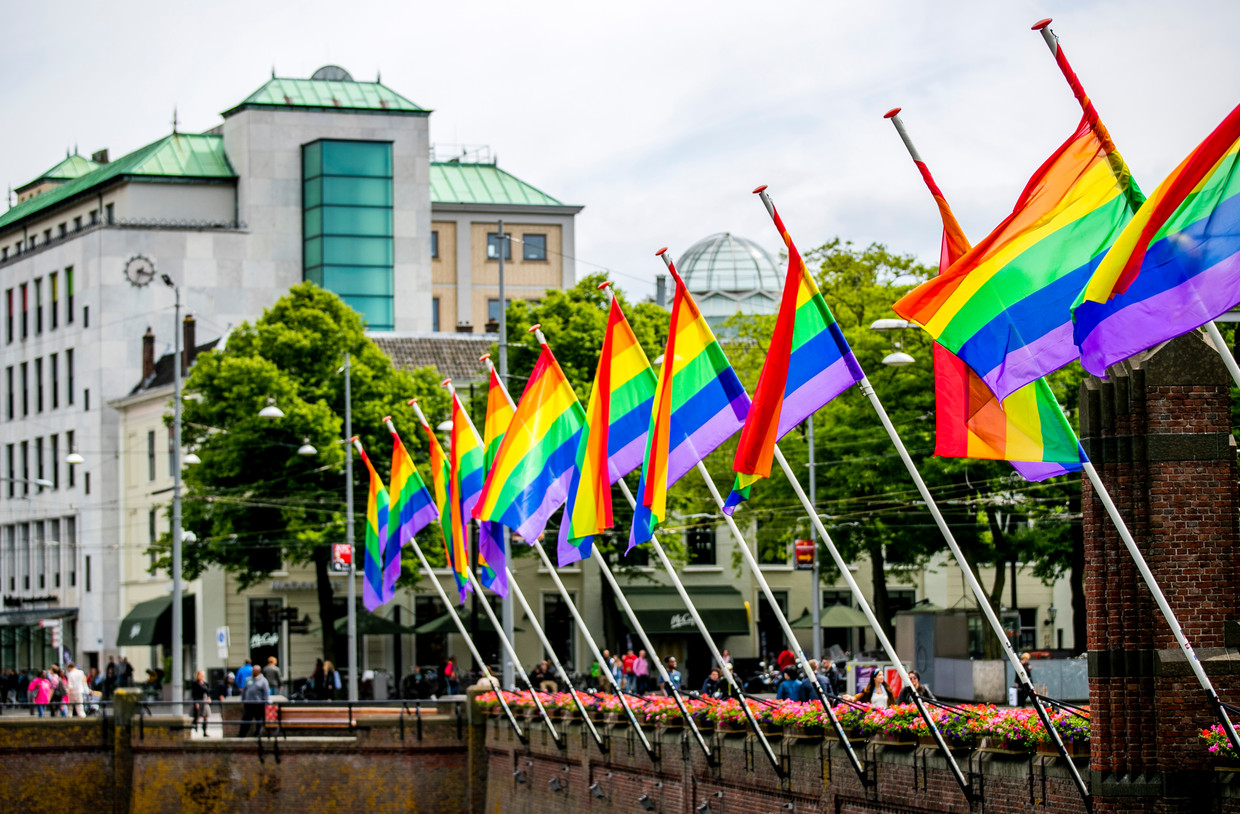 Niet alle politieke partijen hangen de regenboogvlag uit