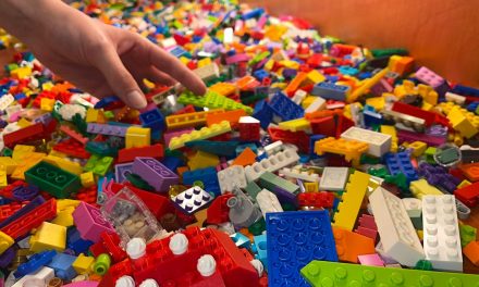 Lego atelier zorgt voor creatieve ontwikkeling