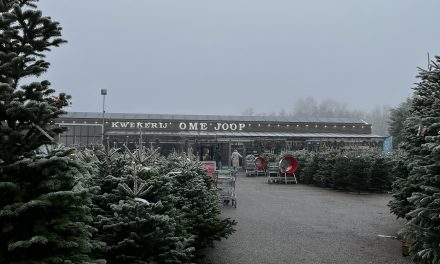 Duurzame kerstbomen bij Kwekerij Ome Joop