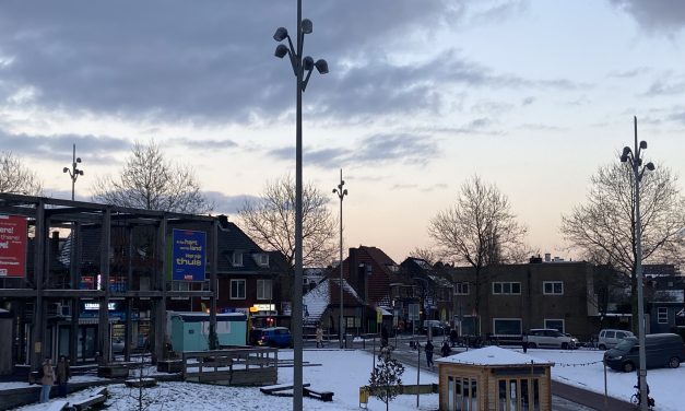 Sneeuwbom in Hilversum