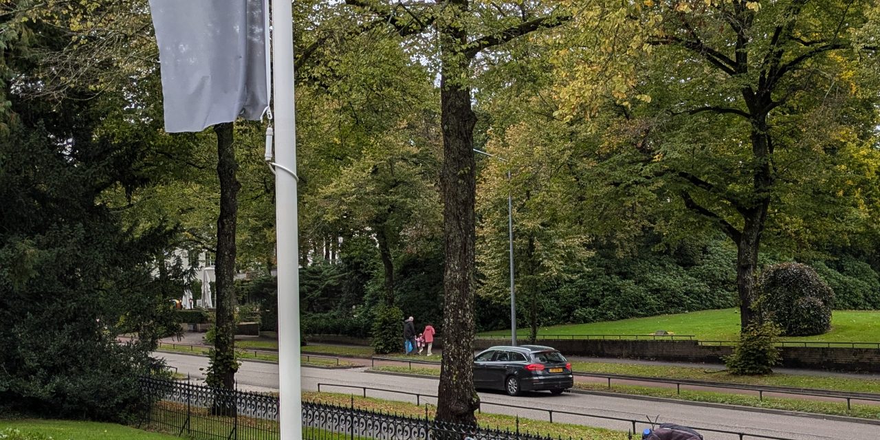 Kinderen vanaf 12 jaar komen steeds minder naar de bibliotheek.