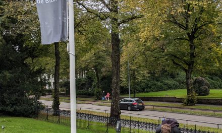 Kinderen vanaf 12 jaar komen steeds minder naar de bibliotheek.