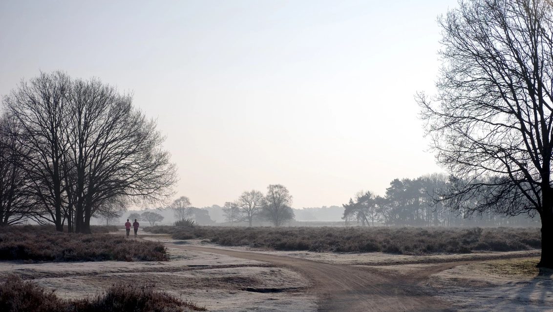 Een hoge notering voor gemeente Hilversum in breed welvaartsonderzoek