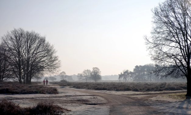 Een hoge notering voor gemeente Hilversum in breed welvaartsonderzoek