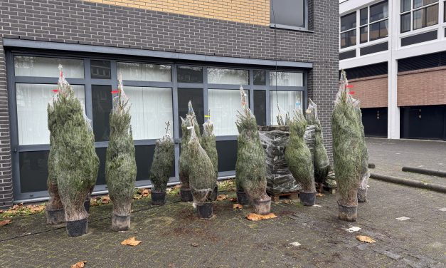 Adoptie kerstboom van VONK in de wijk moet zorgen voor een duurzamere kerst.