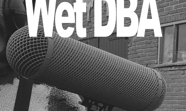 Wet DBA, Hilversumse ZZP’ers worden getroffen