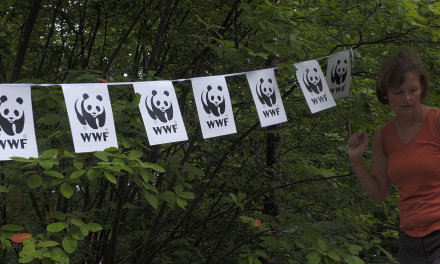 Walkathon WWF Hilversum