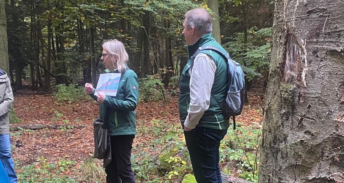 Martien van der Meer begeleidt een van de eerste paddenstoelen wandelingen van het seizoen.