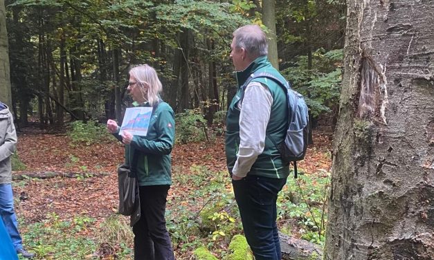 Martien van der Meer begeleidt een van de eerste paddenstoelen wandelingen van het seizoen.