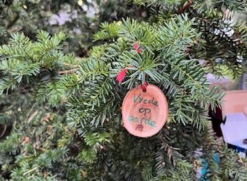 Feestelijke gevoelens tijdens kerstmarkt Hilversum