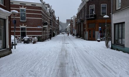 De sneeuw bleef maar komen, maar de pizza’s moeten nog steeds naar de klant