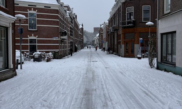 De sneeuw bleef maar komen, maar de pizza’s moeten nog steeds naar de klant