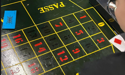 Scouting de Nico Steenbeekgroep  organiseert casino opkomst