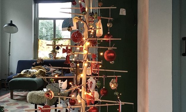 Echte kerstbomen: “natuurlijk doodzonde”