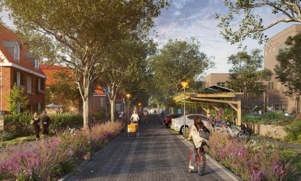 Kabinet Jetten I haalt voorlopig haar klimaatdoelen niet. Desondanks kunnen Hilversummers zelf hun buurt groener maken.