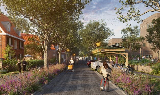 Kabinet Jetten I haalt voorlopig haar klimaatdoelen niet. Desondanks kunnen Hilversummers zelf hun buurt groener maken.