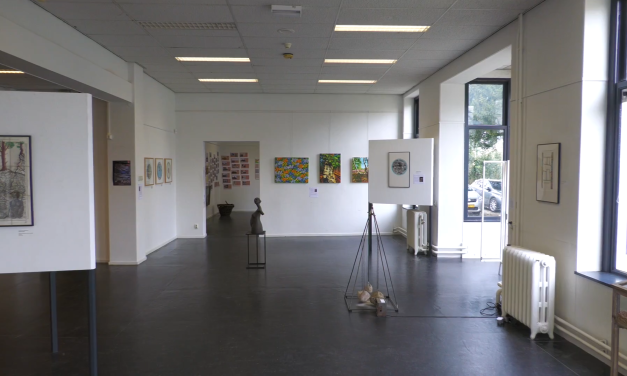 Anne de Laat ART hilversum: waar klimaat en kunst samenkomt!