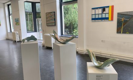 De aarde door de ogen van kunstenaar Hetty Kok