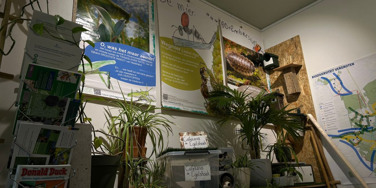 Tuinvogelspreekuur in Hilversum: “Ook zonder tuin kun je iets doen voor de natuur”