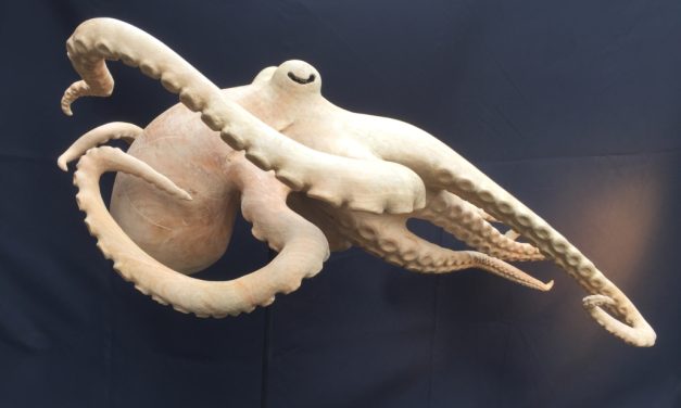 Negen kunstenaars laten in Hilversum zien hoe natuur hun werk beïnvloedt