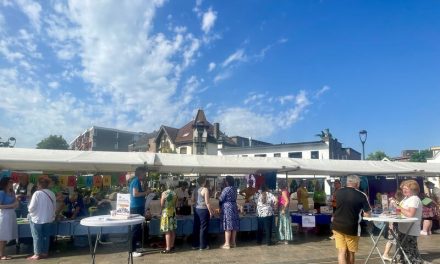 Vrijwilligersmarkt op Marktplein Hilversum trekt veel bezoekers en nieuwe aanmeldingen