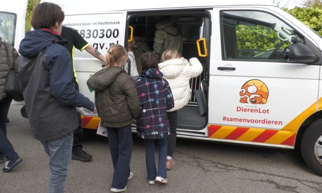 De dierenambulance in the spotlight