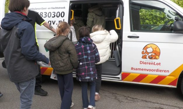 Kinderen in Hilversum ontdekken het werk van de dierenambulance