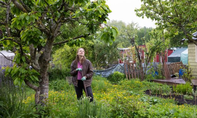 Tentoonstelling laat verbondenheid tussen Hilversum en Wijdemeren zien