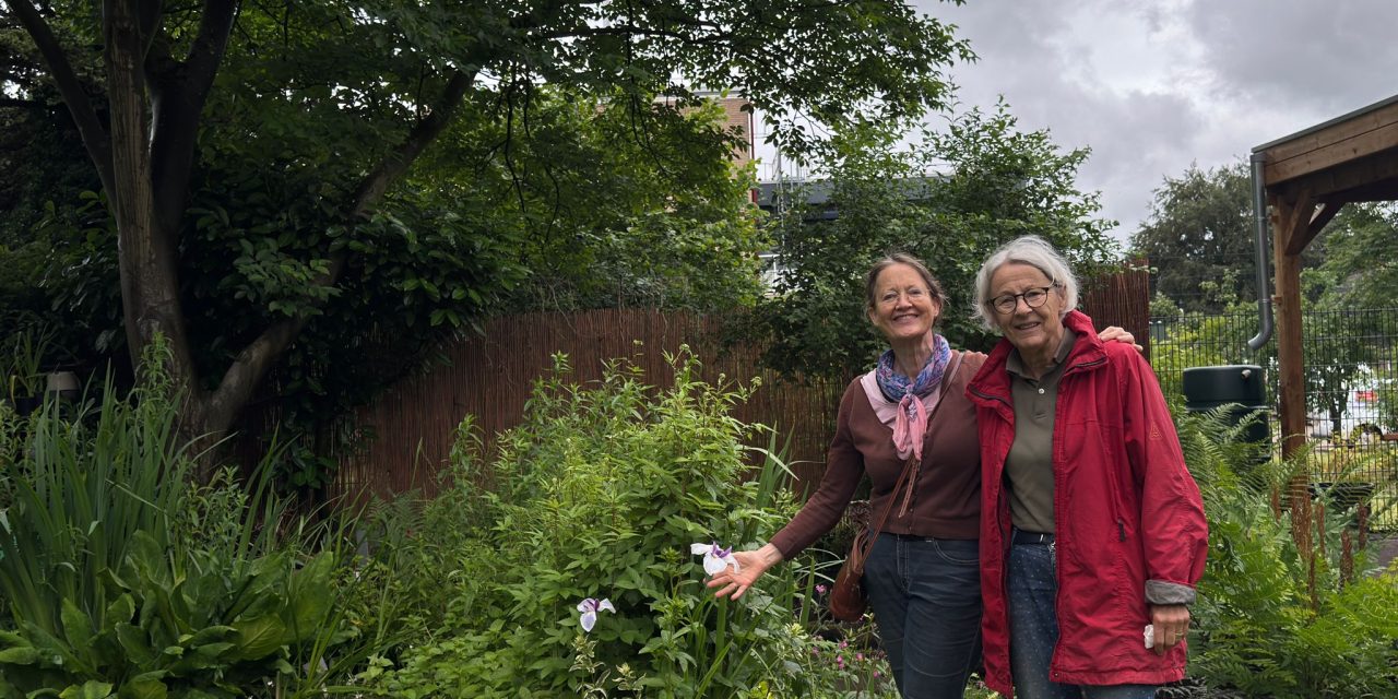 Costerustuin Hilversum draait bijna alleen op zeventigers: “Ik ben de oudste, met 81”
