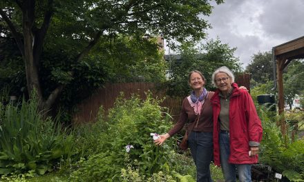 Costerustuin Hilversum draait bijna alleen op zeventigers: “Ik ben de oudste, met 81”