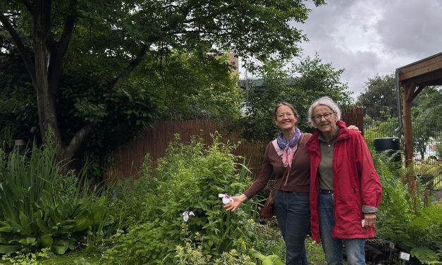 Costerustuin Hilversum draait bijna alleen op zeventigers: “Ik ben de oudste, met 81”